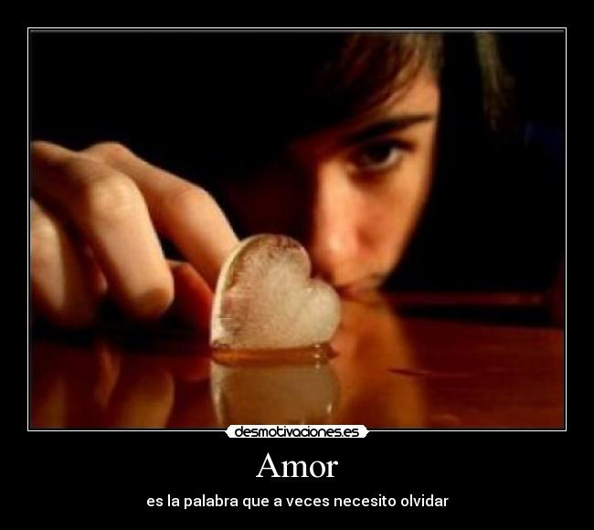 Amor - 