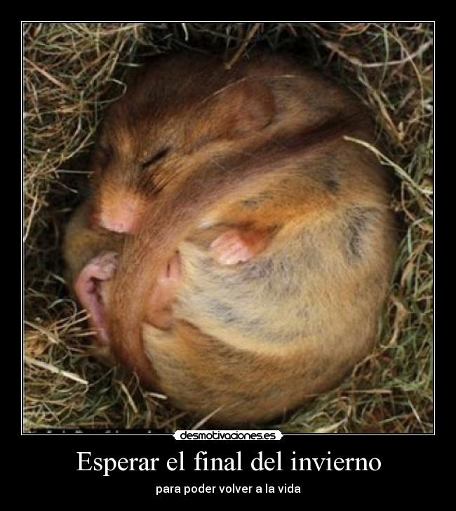 Esperar el final del invierno - para poder volver a la vida