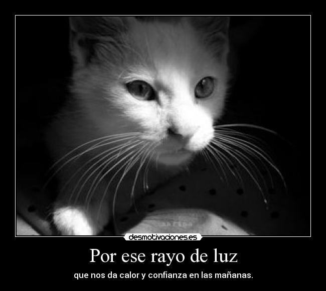 Por ese rayo de luz - que nos da calor y confianza en las mañanas.