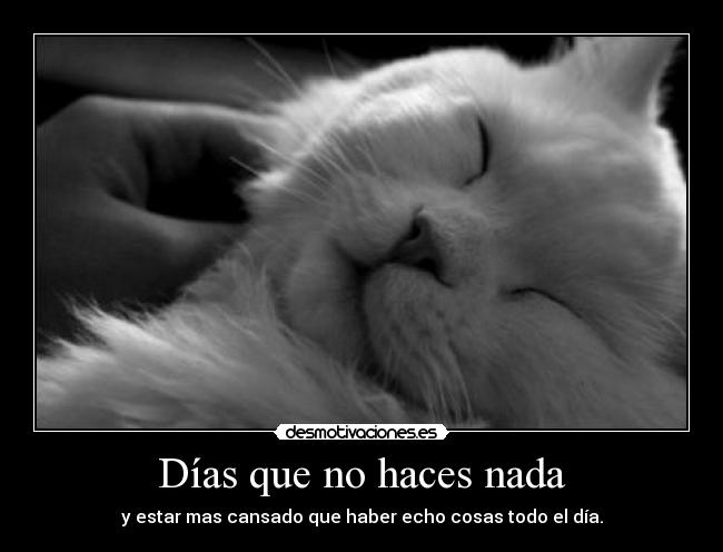 Días que no haces nada - y estar mas cansado que haber echo cosas todo el día.