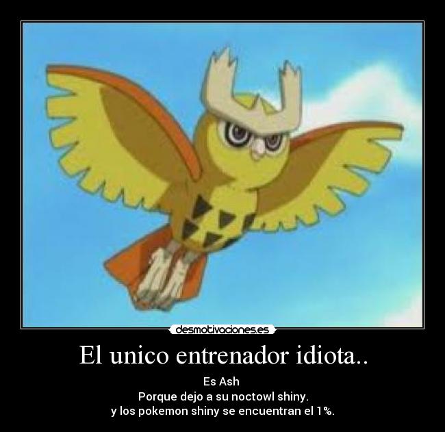 carteles noctowl pokemon desmotivaciones