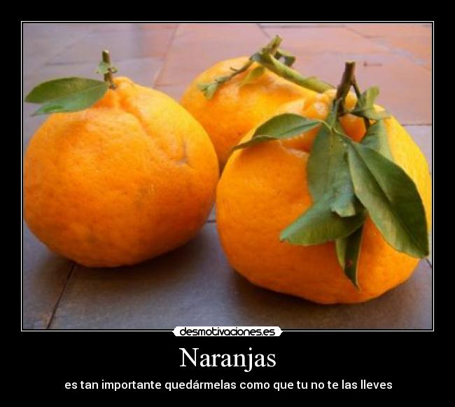 Naranjas - es tan importante quedármelas como que tu no te las lleves