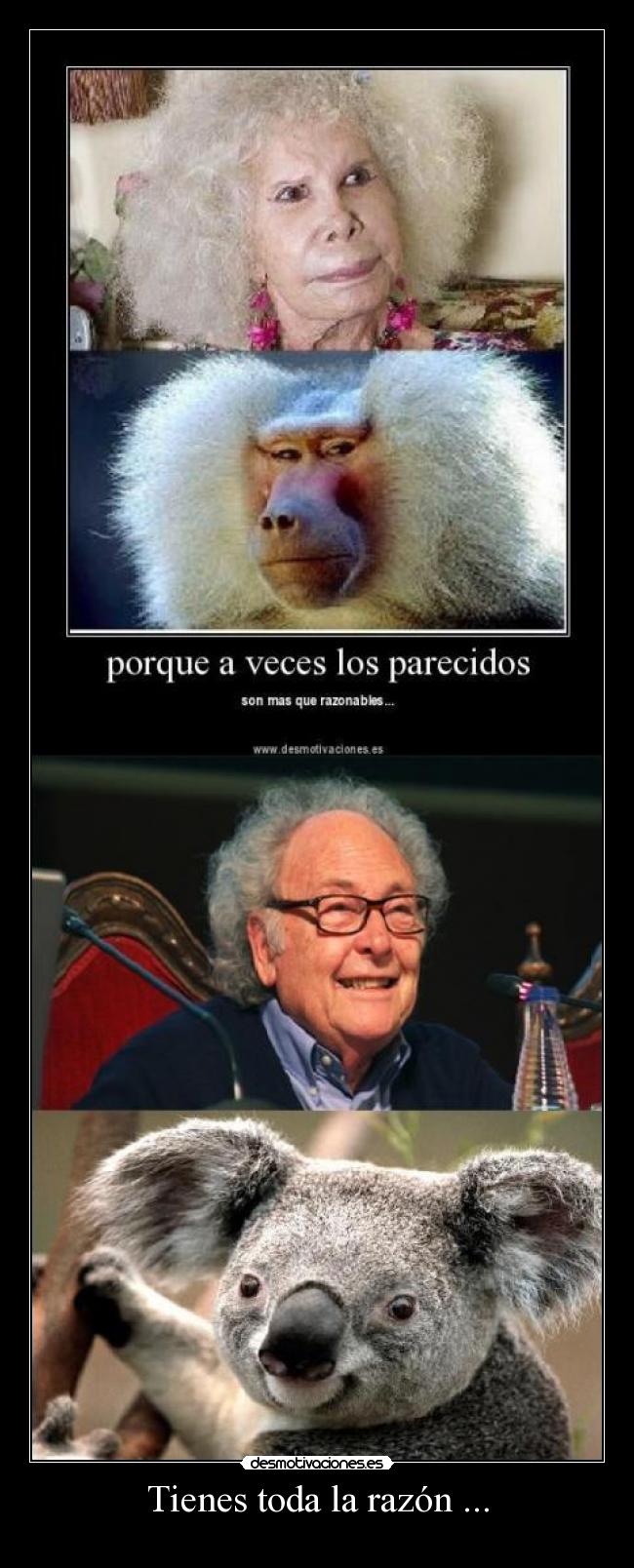 Tienes toda la razón ... -