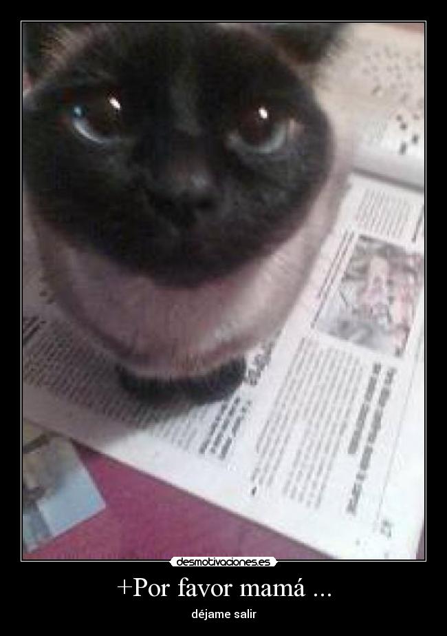 +Por favor mamá ... - 