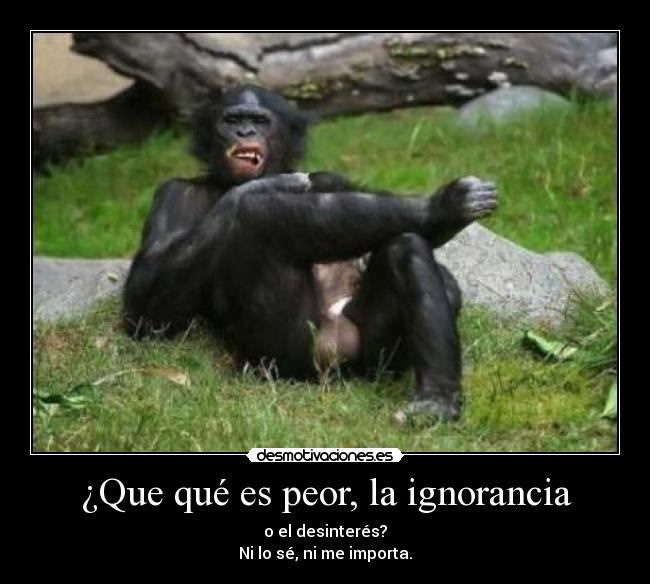 ¿Que qué es peor, la ignorancia - o el desinterés?
Ni lo sé, ni me importa.