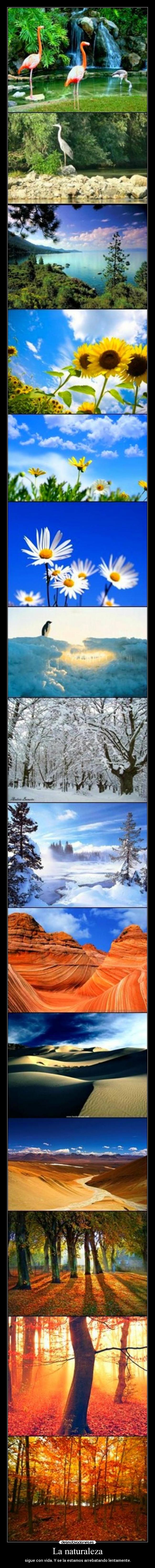 La naturaleza - sigue con vida. Y se la estamos arrebatando lentamente.