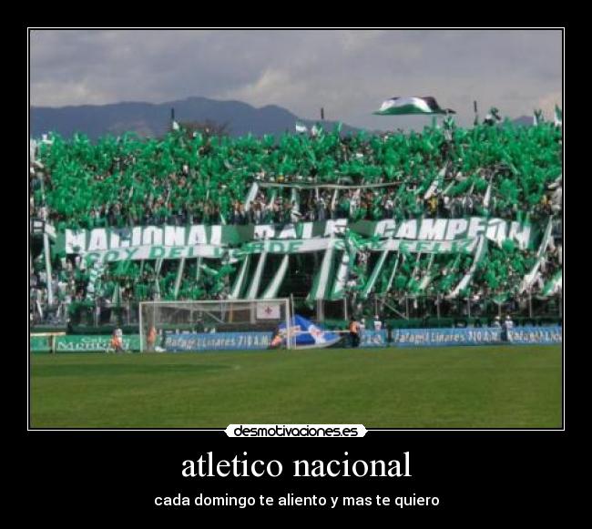 atletico nacional - cada domingo te aliento y mas te quiero