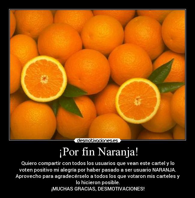 ¡Por fin Naranja! - Quiero compartir con todos los usuarios que vean este cartel y lo
voten positivo mi alegría por haber pasado a ser usuario NARANJA.
Aprovecho para agradecérselo a todos los que votaron mis carteles y
lo hicieron posible.
¡MUCHAS GRACIAS, DESMOTIVACIONES!