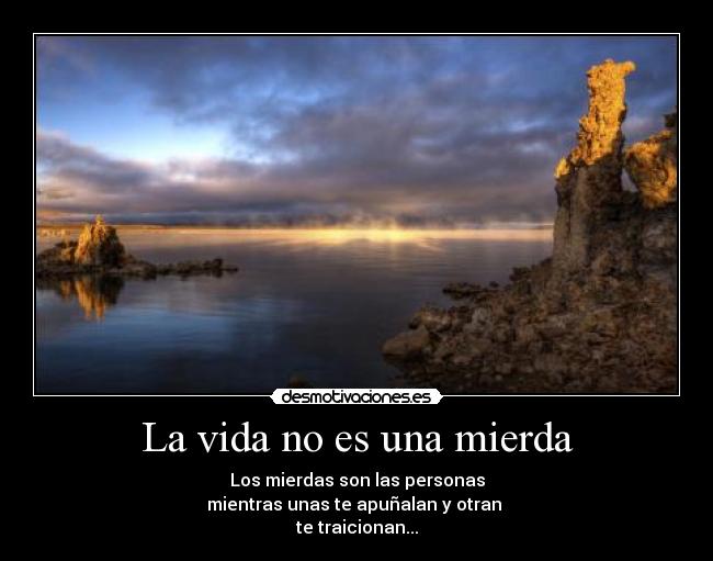 La vida no es una mierda - 
