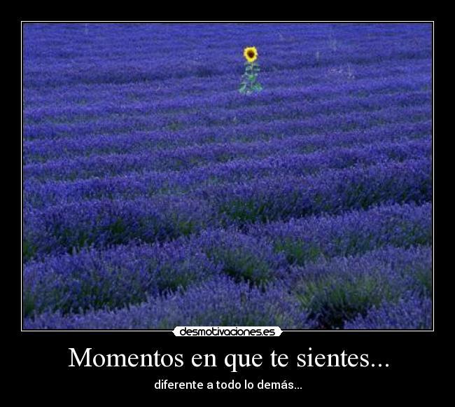 Momentos en que te sientes... - 