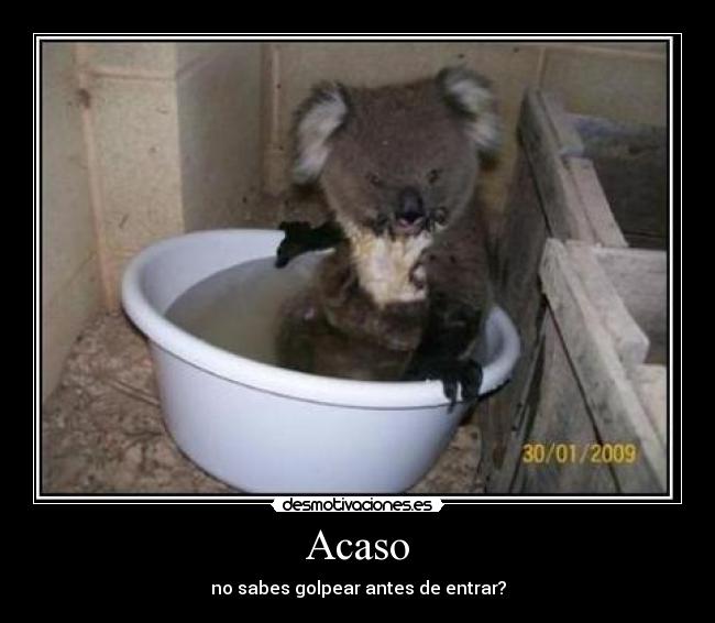 Acaso - no sabes golpear antes de entrar?