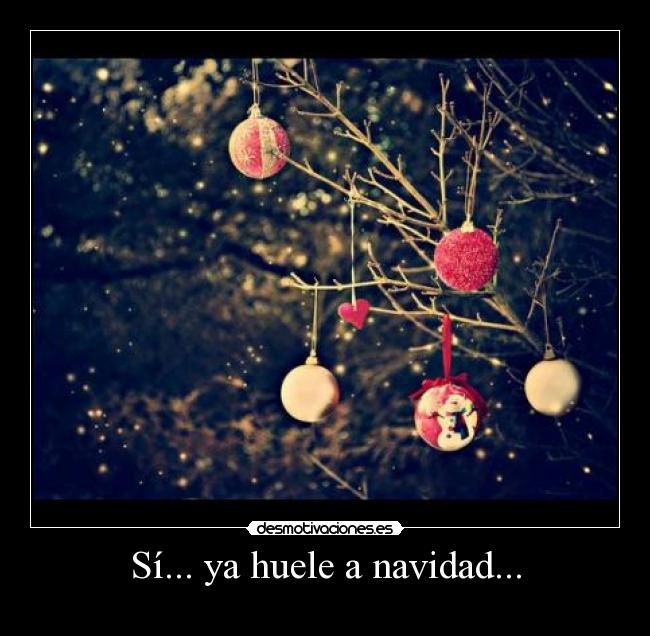 Sí... ya huele a navidad... -