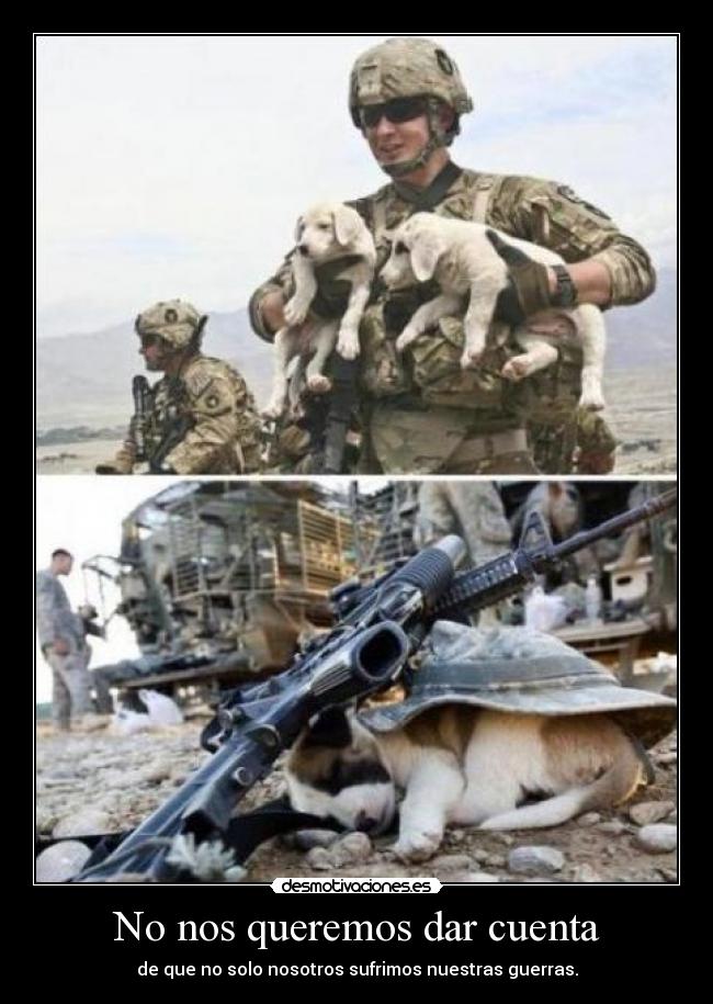No nos queremos dar cuenta - de que no solo nosotros sufrimos nuestras guerras.