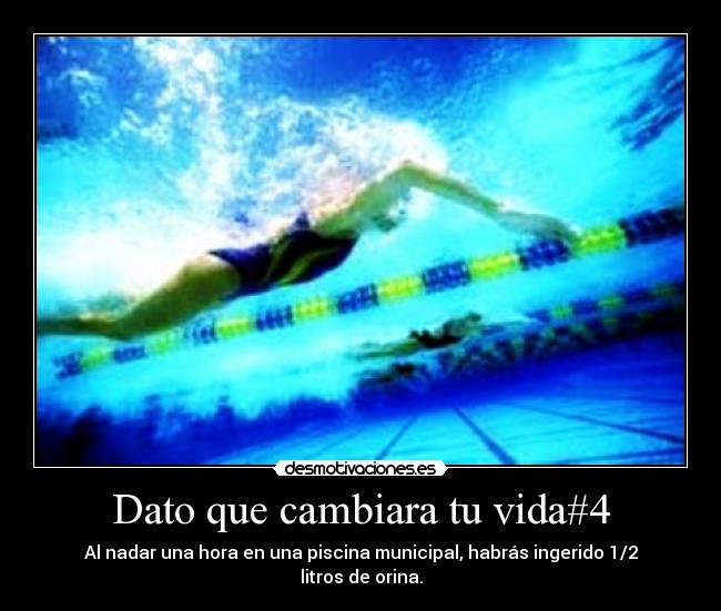 Dato que cambiara tu vida#4 - Al nadar una hora en una piscina municipal, habrás ingerido 1/2 litros de orina.
