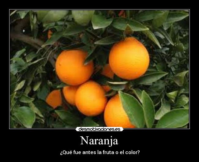 Naranja - ¿Qué fue antes la fruta o el color?