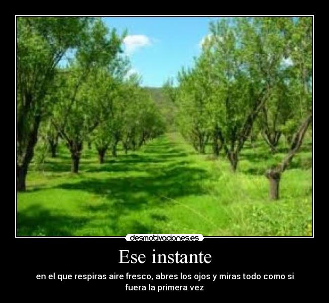 Ese instante -