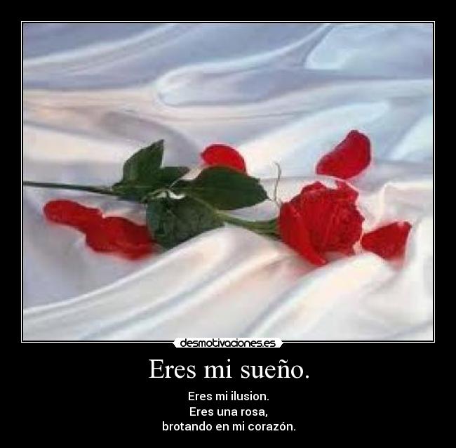 Eres mi sueño. - 