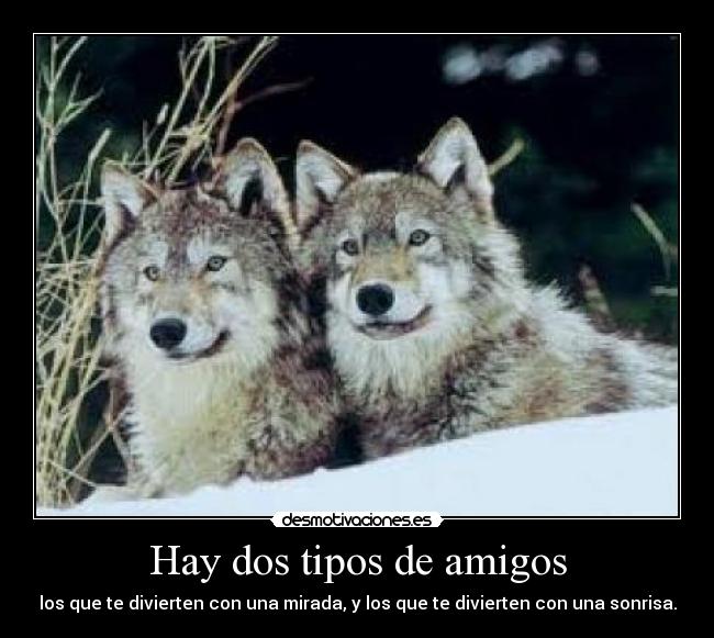 Hay dos tipos de amigos - los que te divierten con una mirada, y los que te divierten con una sonrisa.