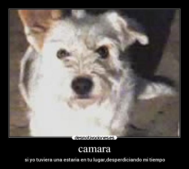 camara - si yo tuviera una estaria en tu lugar,desperdiciando mi tiempo