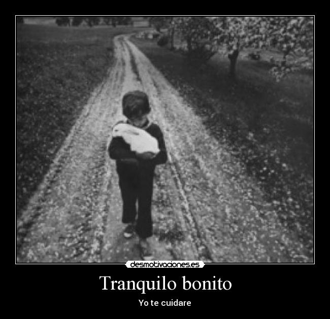 Tranquilo bonito - 