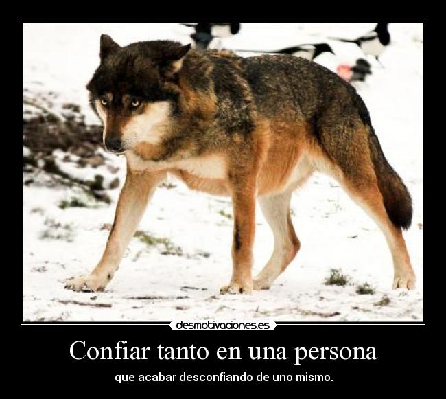 Confiar tanto en una persona - que acabar desconfiando de uno mismo.