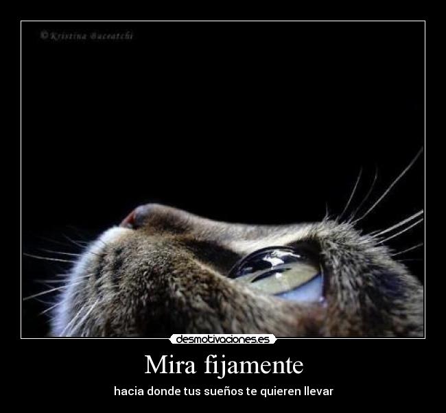 Mira fijamente -