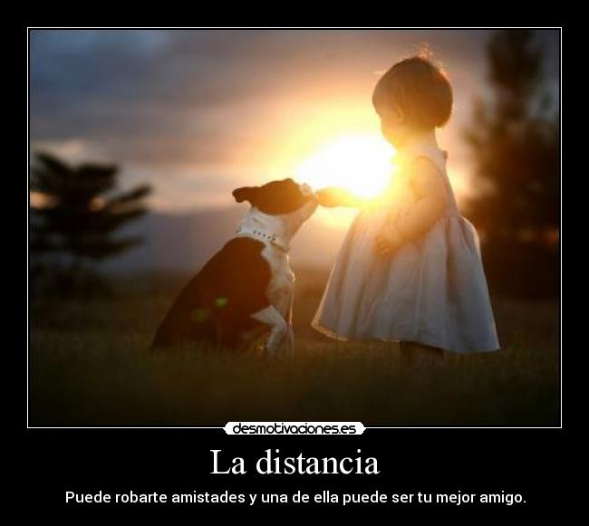 La distancia - Puede robarte amistades y una de ella puede ser tu mejor amigo.