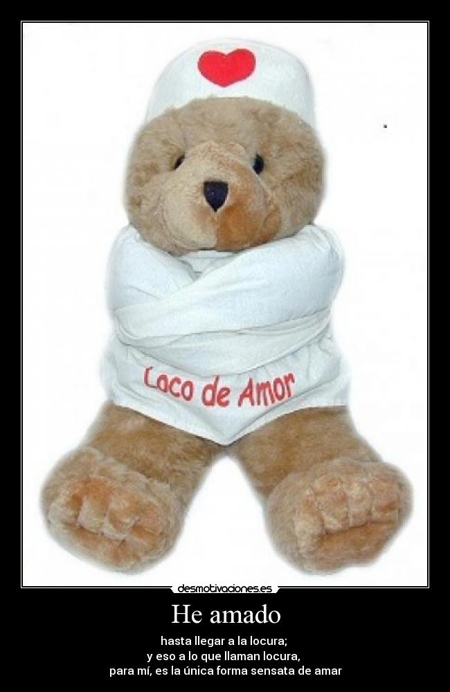 He amado - hasta llegar a la locura;
y eso a lo que llaman locura,
para mí, es la única forma sensata de amar