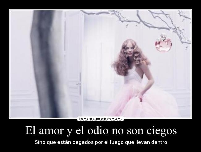 El amor y el odio no son ciegos -