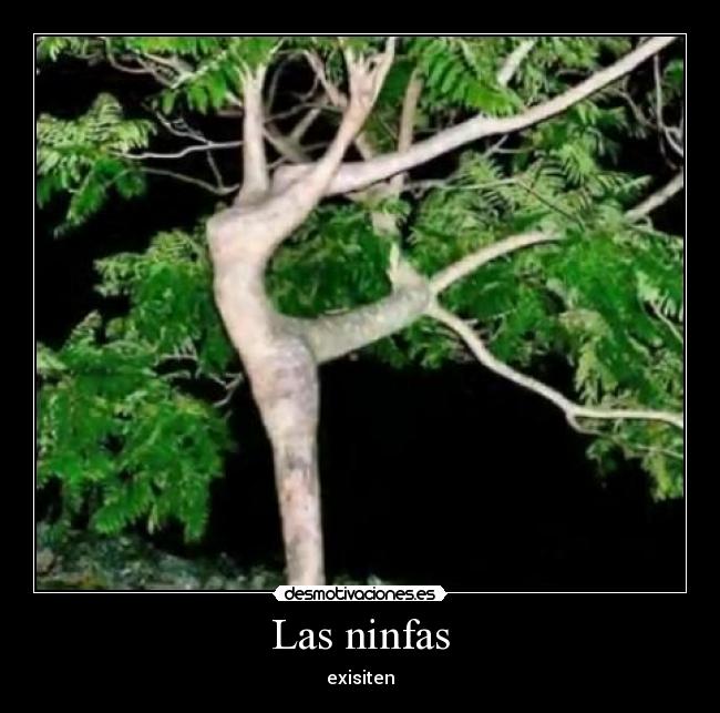 Las ninfas - 