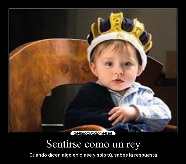 Sentirse como un rey - Cuando dicen algo en clase y solo tú, sabes la respuesta