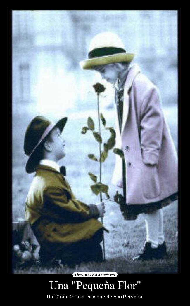 Una Pequeña Flor - 