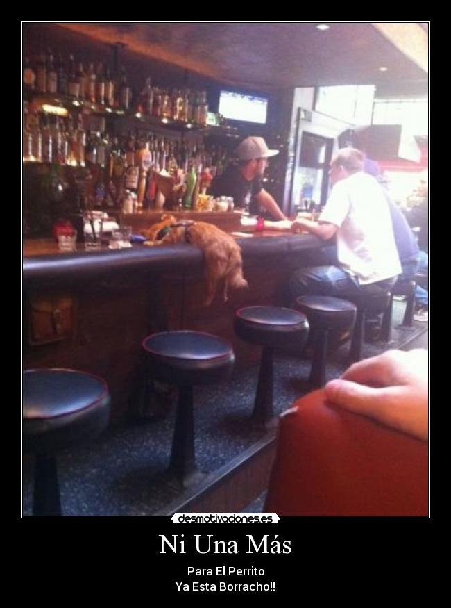 Ni Una Más - Para El Perrito
Ya Esta Borracho!!