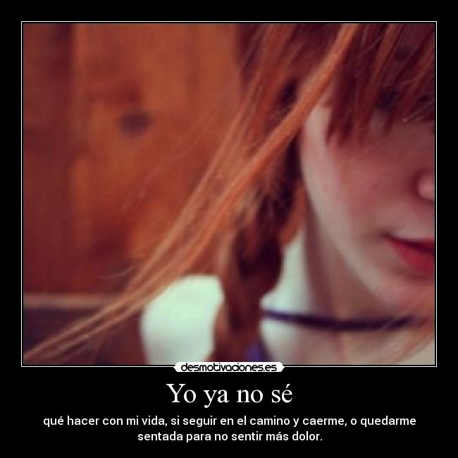 carteles lechugas tomates sardinas desmotivaciones