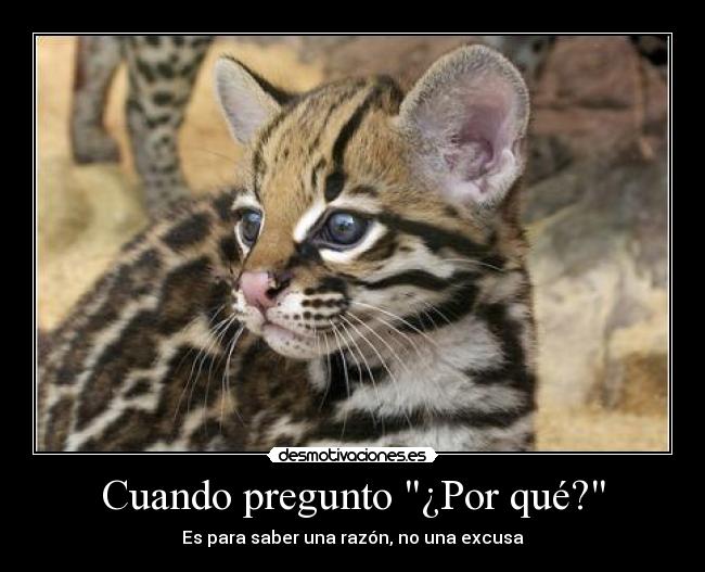 carteles lalocuna intruders frase clase lol alejandro por que desmotivaciones