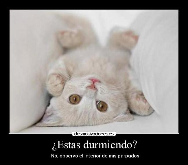 ¿Estas durmiendo? - -No, observo el interior de mis parpados