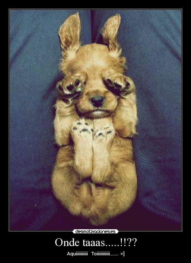 Onde taaas.....!!?? -