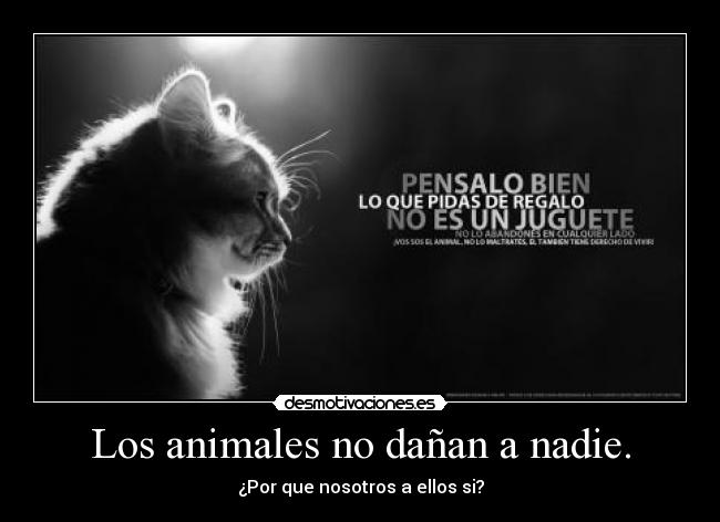 Los animales no dañan a nadie. - ¿Por que nosotros a ellos si?