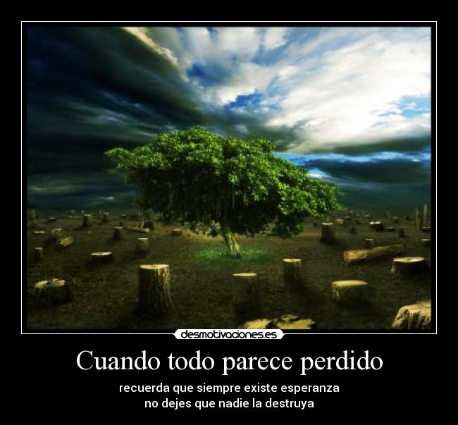 Cuando todo parece perdido - recuerda que siempre existe esperanza
no dejes que nadie la destruya