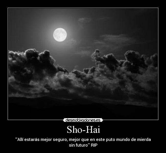 Sho-Hai -