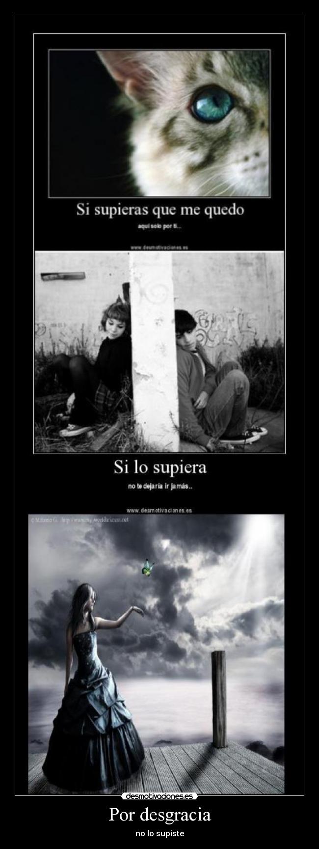 Por desgracia - no lo supiste