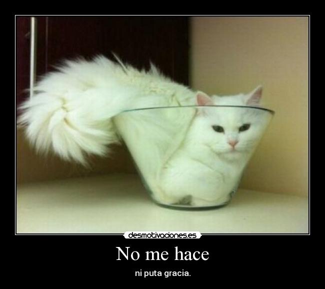 No me hace - ni puta gracia.