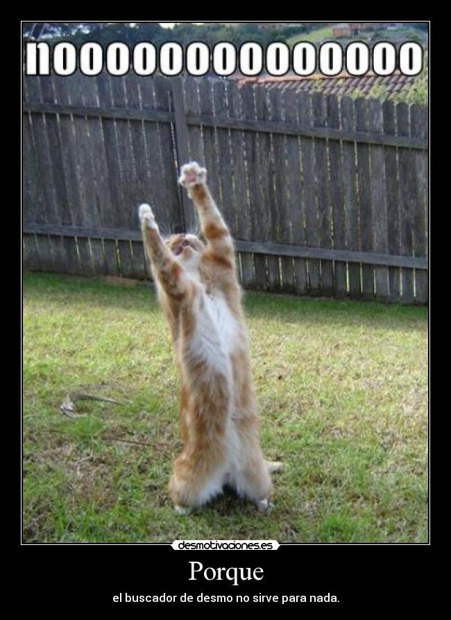 Porque - 