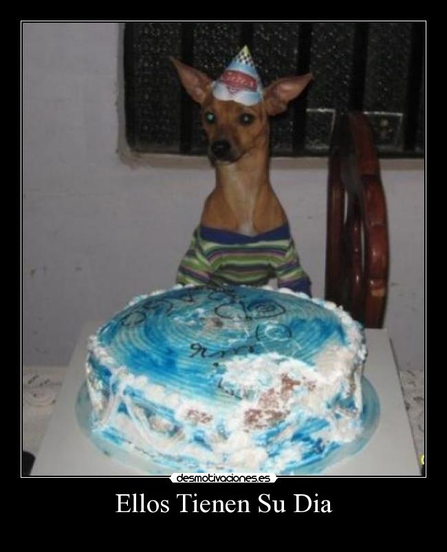 Ellos Tienen Su Dia - 