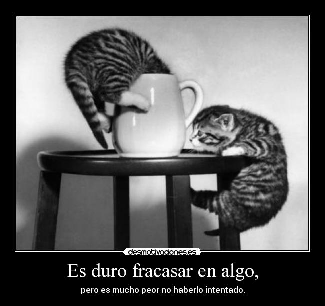 carteles que importa haberse caido nunca sino haberse levantado despues cada caida desmotivaciones