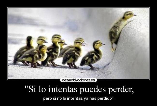 Si lo intentas puedes perder, -
