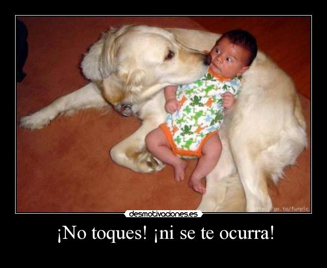 carteles perro leo desmotivaciones