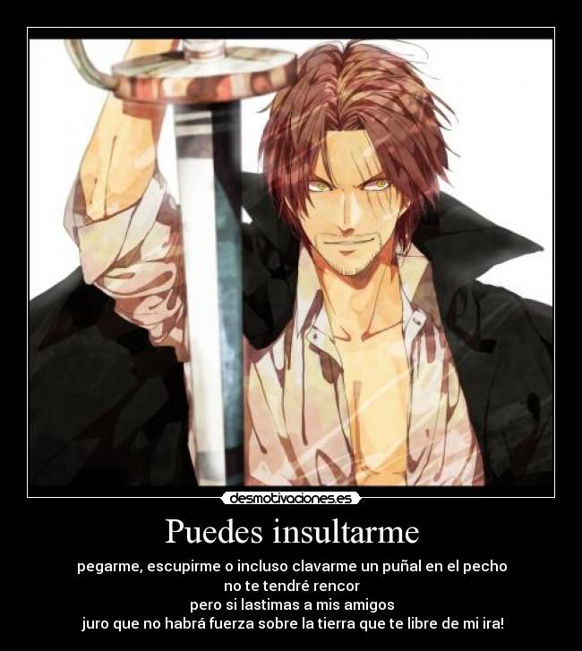 Puedes insultarme - 