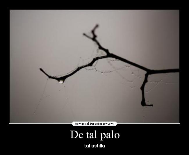 De tal palo - 