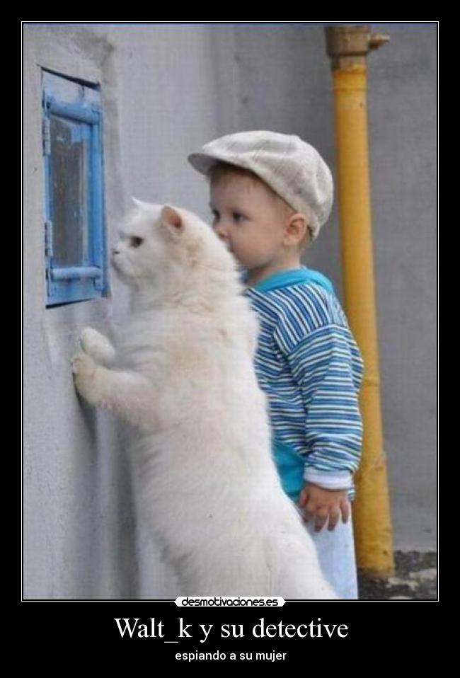 Walt_k y su detective - espiando a su mujer